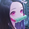 Nezuko(Velika) 