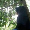 Nuranisa