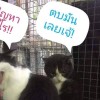 สายลม แห่งกาลเวลา