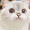 ×^×