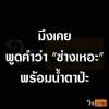 จาตุรงค์ สมสกุล