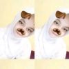 Pirgi Asww