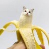 Banana Cat.