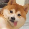 子誠