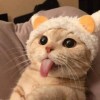 Biwwwwww