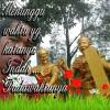Husin Alex Sander