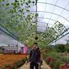 Andreansyah Andre