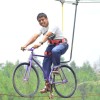 ari_purwanto