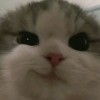 レモナルウ