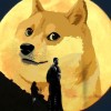 Dog 9