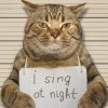 Thomas D. Cat