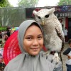 Aprinia_0430