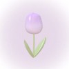 소페아💗🌷