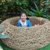 Aomaeng:D