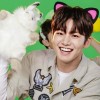Nesa DS