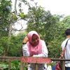 Dewik