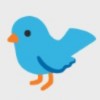 🐦🐦
