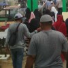 sendal jepit