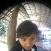 As Wildan