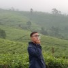 Pharel
