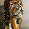 เอ