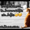 ꧁:€M:꧂