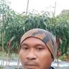 Akang Jafer