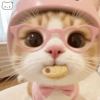 兔染染