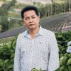 Tanaman