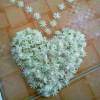 ခ်စ္ ဖူးေဝ