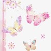 ST.나비🦋