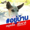 สมยศ บุญเครือบ