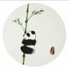 猫不睬