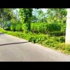 masD