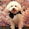 訪客Alex Leung