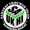 Saukhi