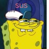 sus