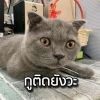 ไอย่า คิมมี่