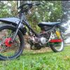 Hendra
