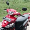 pandi