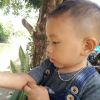 Eko Utomo