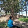 Habib