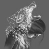 mixzRF