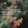 Ansori Acong