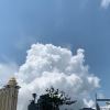 人間廠皇