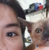 ตาง ต่าง ต้าง