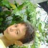 Fiqih Bin Saleh
