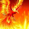 Solos Phoenix Chuwet
