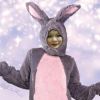 lilyamirul