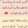 Hasni Ji